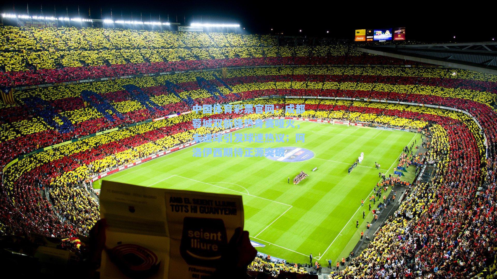 成都蓉城双新锋热身赛哑火，未进球引发球迷热议；阿洛伊西期待正源突破