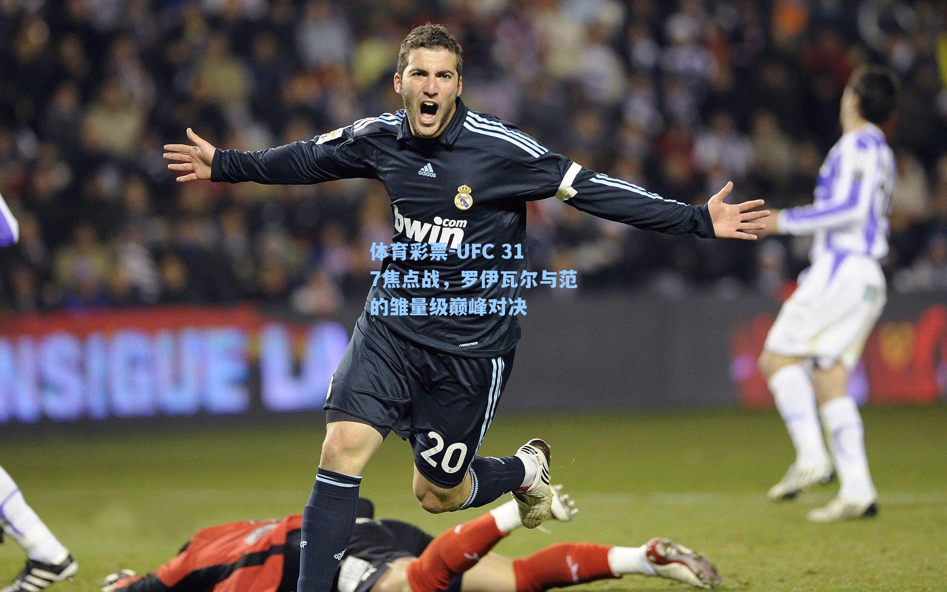 体育彩票-UFC 317焦点战，罗伊瓦尔与范的雏量级巅峰对决