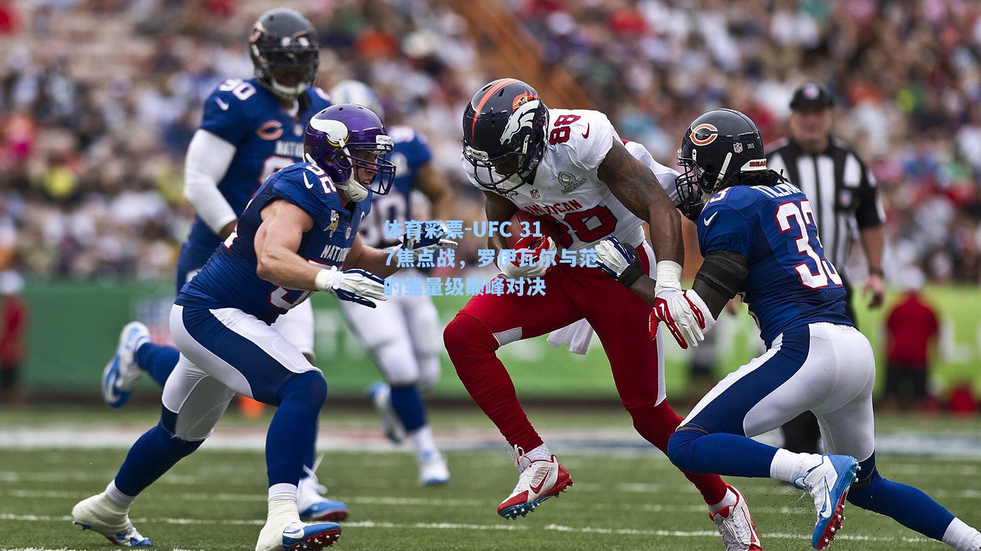 UFC 317焦点战，罗伊瓦尔与范的雏量级巅峰对决