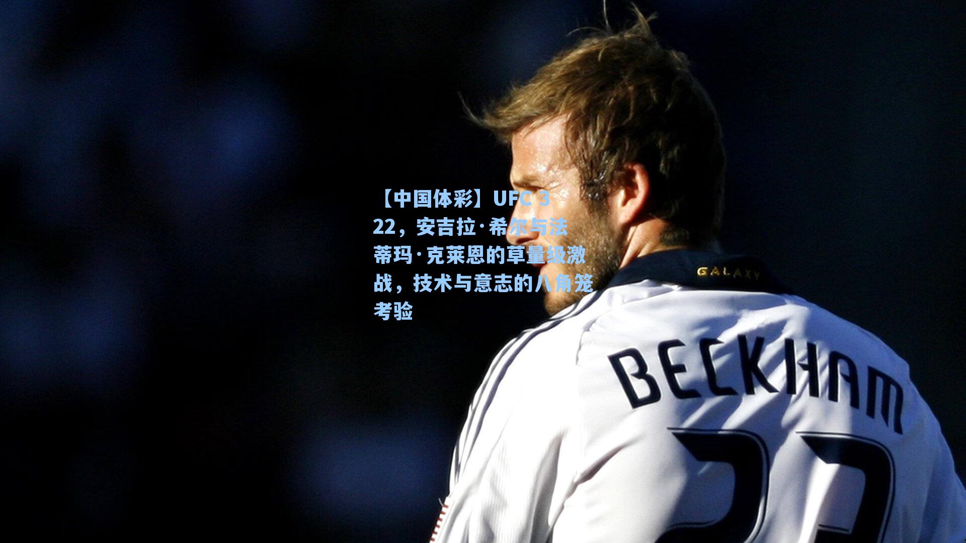 UFC 322,安吉拉·希尔与法蒂玛·克莱恩的草量级激战,技术与意志的八角笼考验